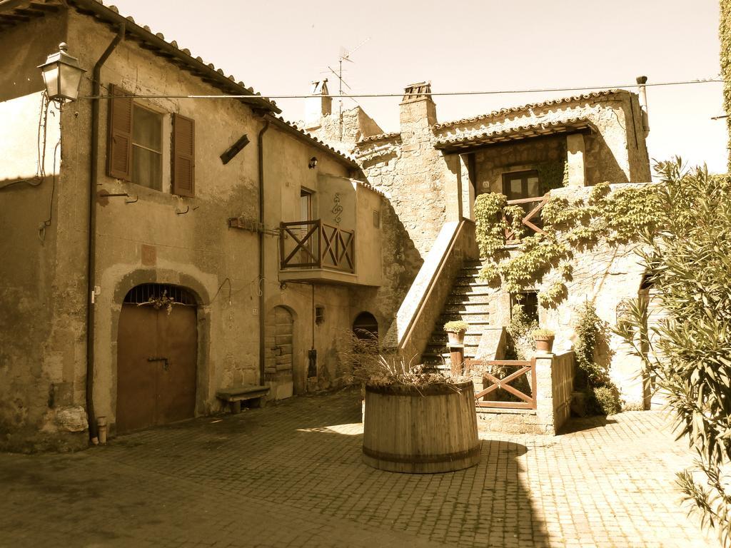 La Giuliva Di Pianiano Apartamento Cellere Habitación foto